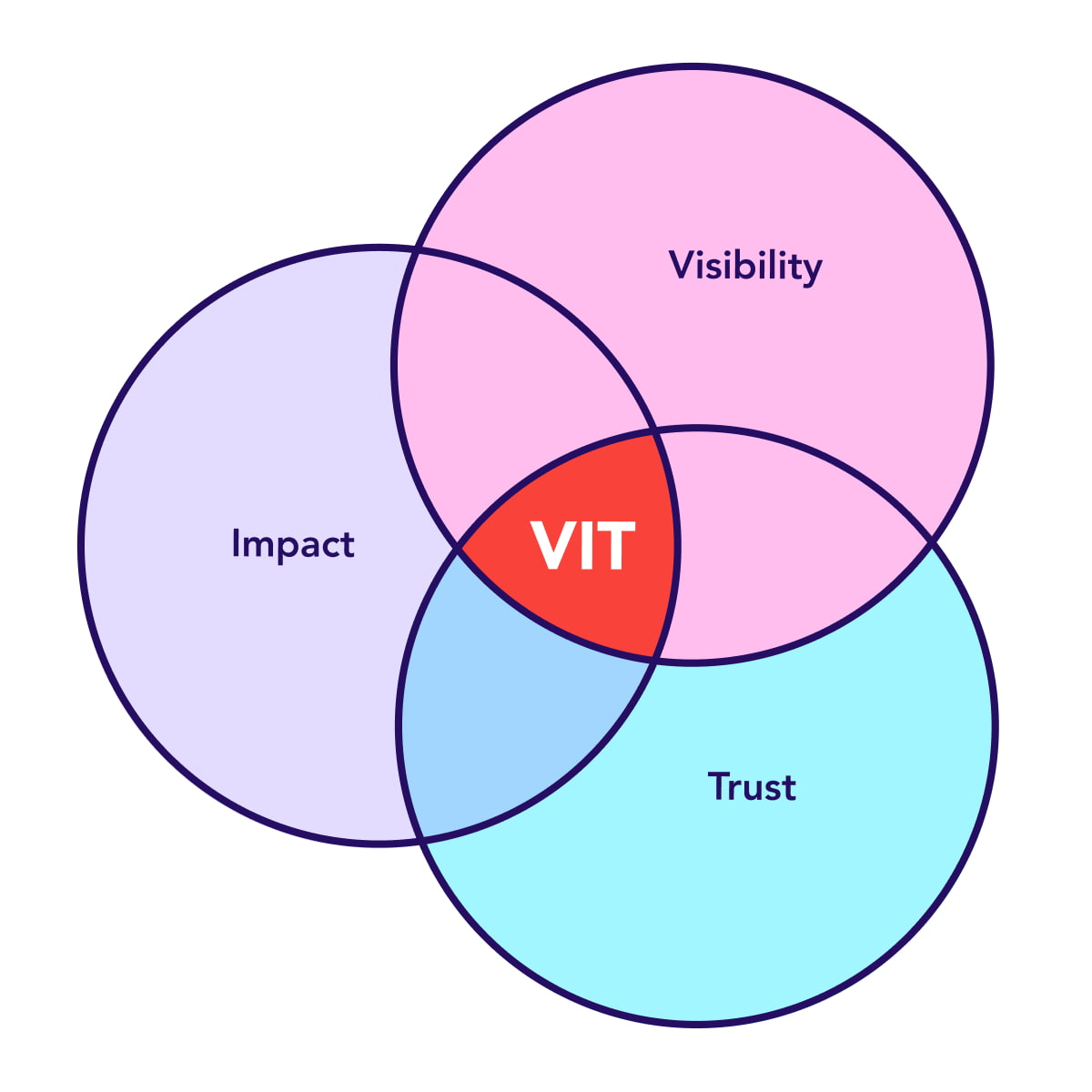 Traackr VIT Metric