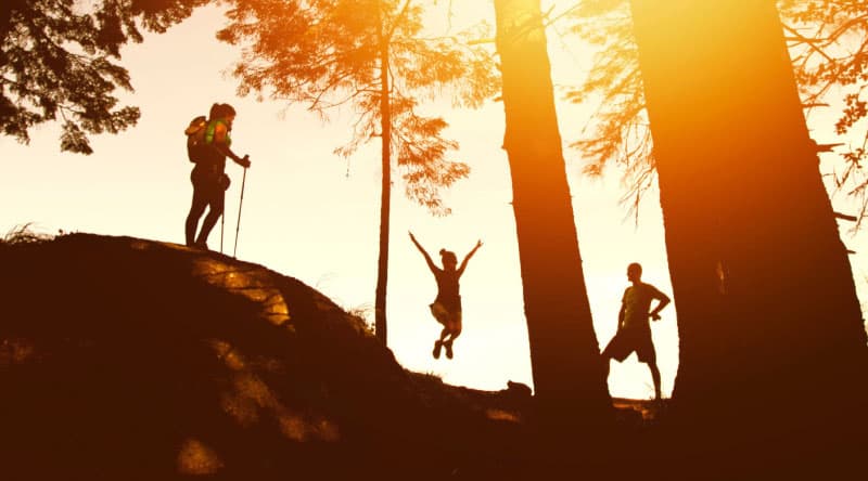 Pegasus tripled new influencer marketing business with data-driven strategies powered by Traackr.
